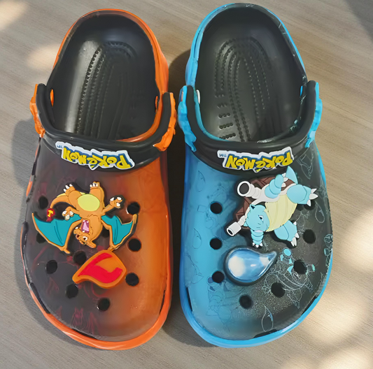 Pokemon (Charizard y Blastoise) - Niño